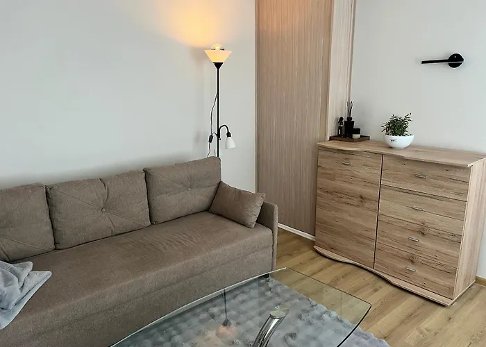 Cozy In Heart Of Old Town 公寓 维尔纽斯